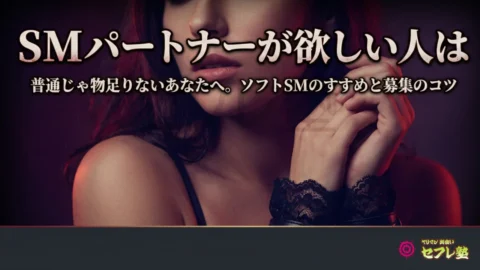 SMパートナーが欲しい人は